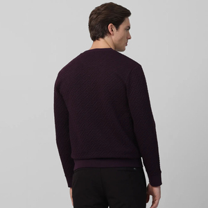 Sudadera de cuello redondo de poliéster/algodón de alta calidad para hombre, estampado personalizado, bordado, informal, Otoño, Polar, transpirable, 220g, ODM, OEM - Product Image 4