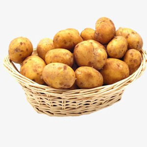 2025 patatas dulces irlandesas frescas, venta al por mayor a granel, verduras de granja de primera calidad, Venta caliente, mejor calidad, cosecha fresca, lista para exportación - Product Image 4