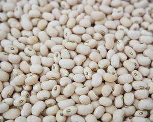 Best Quality White Cowpeas <b>Vigna</b> <b>Beans</b> For Sale - Product Image 1