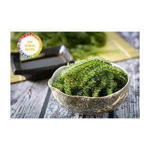 Fournisseur de raisins de mer frais du Vietnam Algues naturelles de caviar océanique pour une alimentation saine Cuisine végétalienne et restaurants gastronomiques - Product Image 1