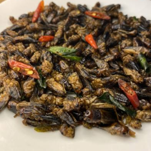 GRILLOS DE CAMPO SECO AL POR MAYOR PARA INDUSTRIA DE ALIMENTOS | CERTIFICADO HACCP - Product Image 3