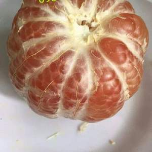 Pomelos rouges frais de haute qualité du Vietnam, pamplemousse à peau verte, meilleur prix, fruits entiers surgelés IQF, emballage en vrac, direct, Mme Sophie - Product Image 2