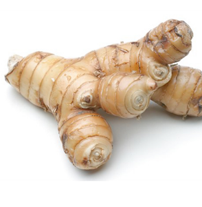 Fournisseur galangal/ Alpinia officinarum sur les dernières cultures Ms Hana - Product Image 1