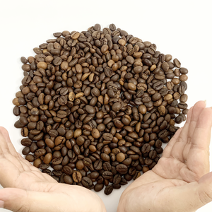 Vietnam Bold Roast Robusta Beans Rico sabor al por mayor Listo para uso de etiqueta privada - Product Image 2