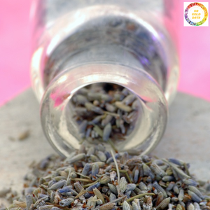 Fleur de bourgeons de lavande Matériau séché écologique pour la décoration intérieure et l'artisanat fait à la main du Vietnam - Product Image 5