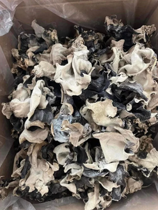 Hongo negro seco de alto grado Proveedor de Vietnam Ingrediente natural para sopa de caldo y uso en la industria de procesamiento de alimentos - Product Image 5
