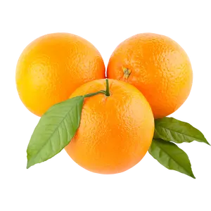 FRESH CITRUS FRUITS - Valencia/Navel Orange, Lime/Lemon, Citrus,Mandarin Oranges, Tangerines