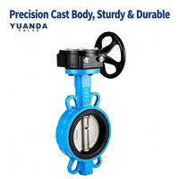 Vanne papillon à disques en PTFE, actionnée par engrenage à vis sans fin, DN40-DN400 PN16, joint souple pour la métallurgie, l'industrie chimique et les papeteries