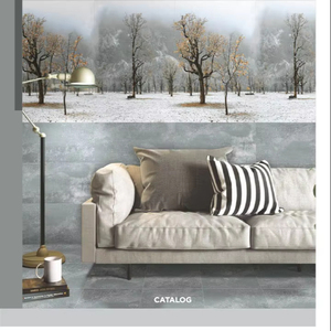 Thiết kế hiện đại 300x600 mét văn hóa đá sứ ốp tường cá tính kết thúc cho ban công ngoài trời nền cho bên ngoài bức tường - Product Image 1