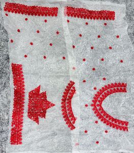 Saree en soie Pashmina de créateur moderne pour femmes avec chemisier ethnique Confortable et élégant Mariage Tenue de fête classique pour femmes - Product Image 6