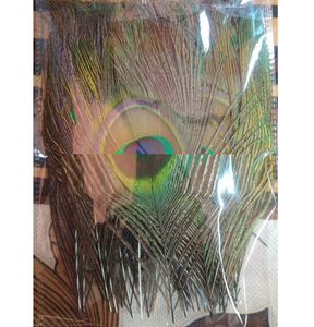Pluma de Pavo Real Vibrante con Patrón Natural para Accesorios de Disfraces, Proyectos de Arte Hechos a Mano, Decoración del Hogar, Fiestas y Festivales - Product Image 6