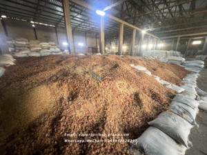 100% Natural Super Grade Sudan Acacia Arabic Gum Grado de alimentos y bebidas de Senegal Producto agrícola - Product Image 3