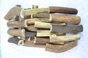 Cornes de cerf rouges propres pour usage cosmétique à prix économique - Product Image 4