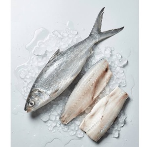 Poisson laitier congelé – Fruits de mer congelés pour la vente au détail et la distribution - Product Image 4