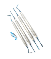 Kit de 4 instruments dentaires manuels en acier inoxydable de haute qualité pour composites, pointes argentées, légers et réutilisables