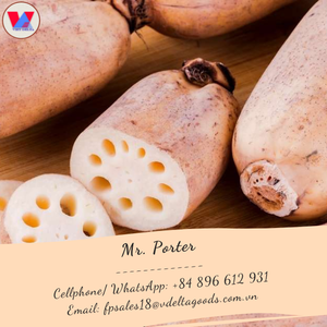 ปริมาณที่ดีบริสุทธิ์ธรรมชาติรากบัวผงสำหรับอาหารทดแทนผงสารสกัดจากเกรดอาหารวันหยุด - Product Image 6