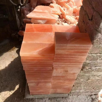 Lampe au sel rose de l'Himalaya de qualité supérieure sculptée dalles de carreaux magiques artisanat naturel pour la décoration de la maison de cuisine directement en usine