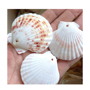 Conchas de vieiras naturales hechas a mano para exhibición de joyas, bandeja de jabón, decoración del hogar inspirada en el océano y proyectos de bricolaje - Product Image 1
