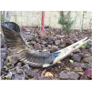 Cuerno Natural de Carnero para Shofar, Cuerno para Rezar en la Sinagoga - Product Image 2