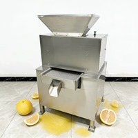 Hoge Efficiëntie Duurzame Wortelpers Energiebesparende Industriële Citroenpers voor Wortelsap en Citrusdrankproductie