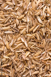 Polvo de Cáscara de Arroz de la India 100% Puro de Alta Calidad, 24 Meses de Vida Útil, Suministro Directo de Fábrica a Granel - Product Image 2
