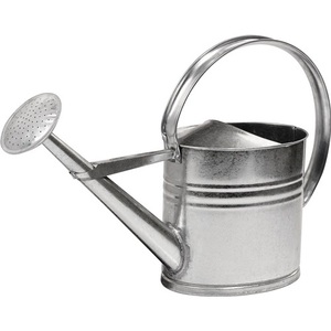 Arrosoir en métal galvanisé argenté de 10 litres pour la jardinage - Product Image 1