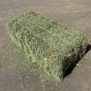 Premium Alfalfa <b>Hay</b> Animal Feed High Protein 18% Sun-Dried Bales Wholesale Export Cattle Pig Dog Chicken 40kg PP <b>Bags</b> 2 Year - Product Image 6