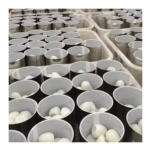 Caille en conserve de qualité supérieure dans un bouillon naturel tendre, savoureux et prêt à manger - Product Image 4