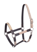Licol pour cheval - Équitation - Licol de haute qualité en PP - Fabricant