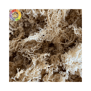 Mousse de mer dorée séchée naturelle, algues de mousse irlandaises non salées pour gel de mousse de mer, Eucheuma Cottonii, sac en vrac de 25kg - Product Image 6