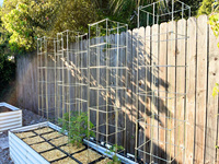 Support de plante conique en acier galvanisé et revêtu par poudrage, personnalisé, pour tomates, concombres et autres légumes de jardin