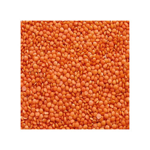 Lentilles rouges bien préparées, commande en gros, légumineuses naturelles, approvisionnement de haute qualité - Product Image 3