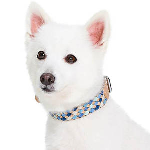 Collier pour chien en cuir avec boucle sécurisée, réglable et confortable, pour une utilisation en intérieur et en extérieur - Product Image 4