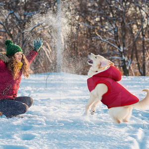 2025 nouveau hiver en gros coton Polyester chien à capuche personnalisé vêtements pour animaux de compagnie blanc chien à capuche de haute qualité - Product Image 6
