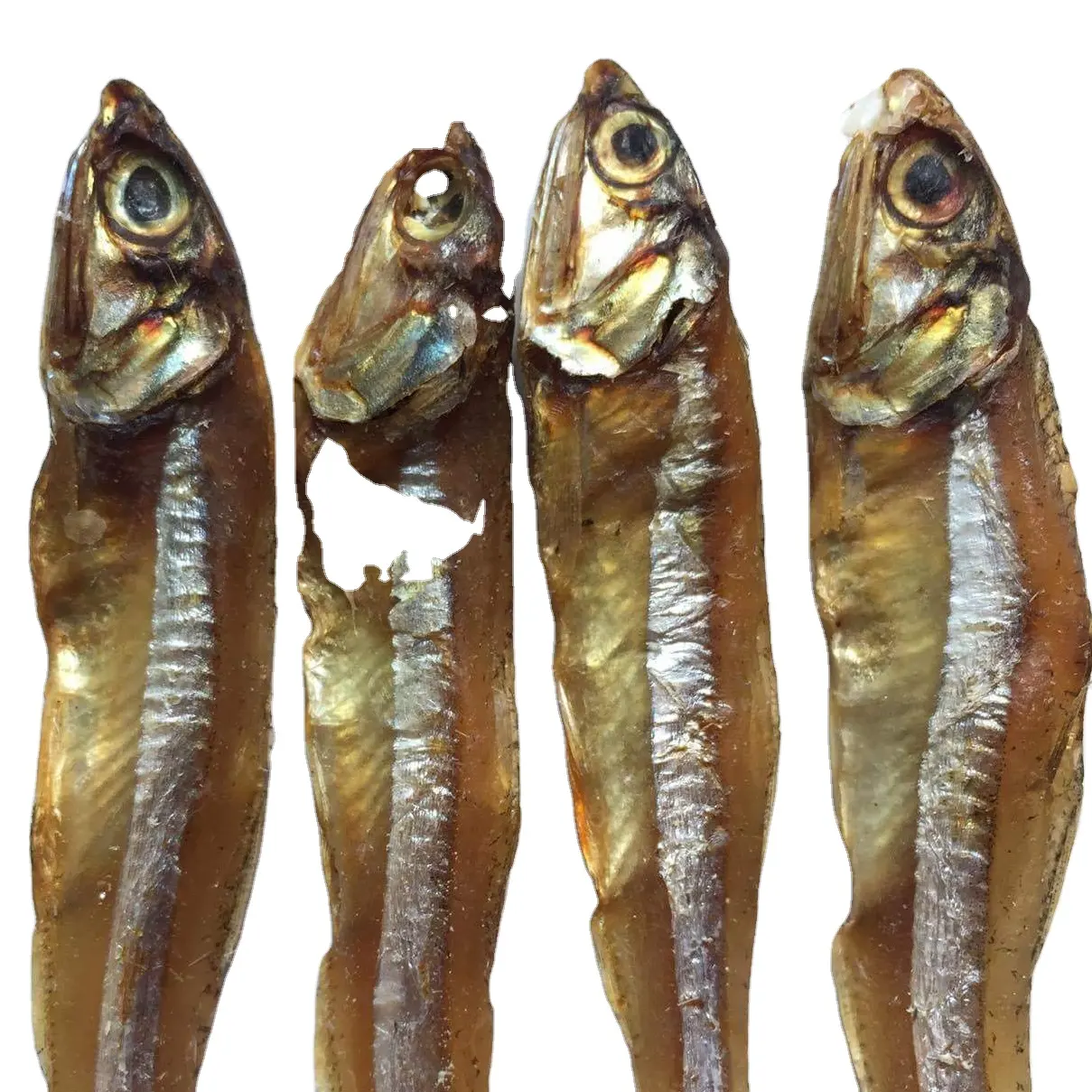Yeni sezon kuru ANCHOVY balık lezzetli ve sağlıklı ihracat için yüksek kalite standardı en iyi fiyat