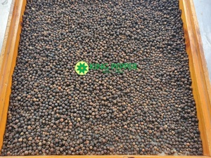 Hierba de una sola especia seca de calidad superior, pimienta negra de Vietnam para alimentos saludables para el corazón, pimienta negra, lotes de existencias, un tipo de producto - Product Image 3