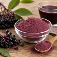 Groothandel Natuurlijk Zwart Vlierbessenextract Poeder Sambucus Nigra Voedingsmiddelenkwaliteit OEM ODM Private Label Bulk Fabriek Leverancier
