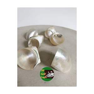 Rond de serviette en coquillage écologique en gros auprès d'un fabricant qualifié fournissant une décoration de salle à manger durable - Product Image 2