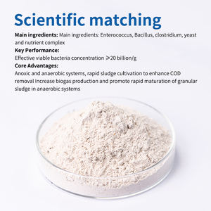 Tanques Sépticos Digestores De Biogás Sistemas Anaeróbicos Remoção De COD Produção De Biogás BioPower200 Bactérias Anaeróbicas Aprimoradas - Product Image 2