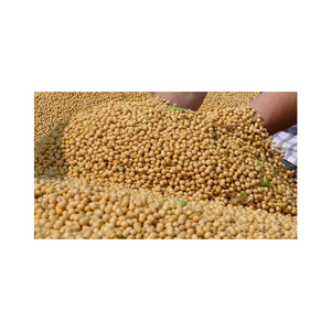 Vente de gros Soja biologique Soja jaune Soja soja fèves - Product Image 3