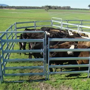 공장 도매 하이 퀄리티 12ft 아연 도금 금속 소 가축 가축 농장 야드 울타리 패널