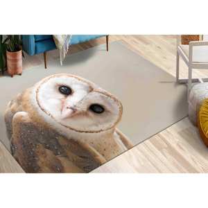 Alfombra Estampada con Diseño de Búho: Personalizada, para Baño, Decoración de Oficina, Animal, Contemporánea, con Pelo Suave - Product Image 1