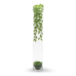 VCY0535 - Cylinder Glass <b>Vase</b> - 35 - Product Image 1