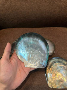 Assiette de nacre à lèvres jaune luxueuse, plat de service de caviar en coquille fait à la main Vietnam - Product Image 4