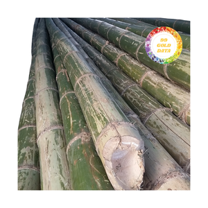 Postes de bambú ecológico para paisajismo, diseño de jardines y aplicaciones creativas artesanales - Product Image 4