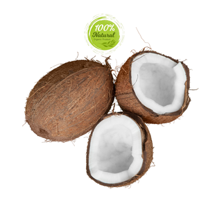 Coquille de noix de coco séchée de style frais pour yaourts à base de plantes - Product Image 6