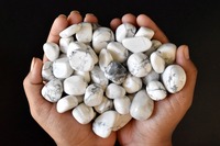 Vente en gros d'agate howlite polie naturelle de haute qualité, 15-30 mm, pour la décoration de la maison, le feng shui, Inde, personnalisable
