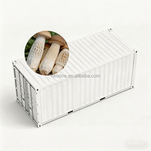 Conteneur fiable pour la culture de champignons, directement de l'usine, pour l'élevage professionnel de champignons, avec service de personnalisation des dimensions et des caractéristiques - Product Image 2