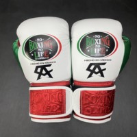 No Boxing No Life Guantes de Boxeo Profesionales con Cordones, Cuero Vacuno de Primera Calidad, Acolchado Grueso de 4 Capas, Transpirables y que Absorben la Humedad