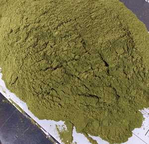 Ricco di proteine immuni Booster <span class=keywords><strong>Moringa</strong></span> foglia in polvere per l'alimentazione degli animali da esportatore indiano e produttore - Product Image 1